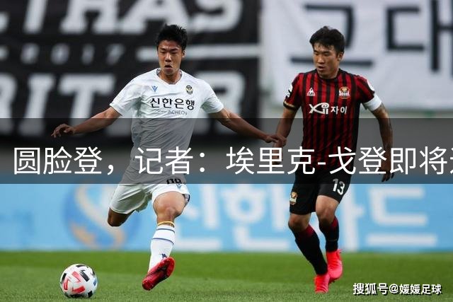 圆脸登，记者：埃里克-戈登即将退役，结束18年职业生涯