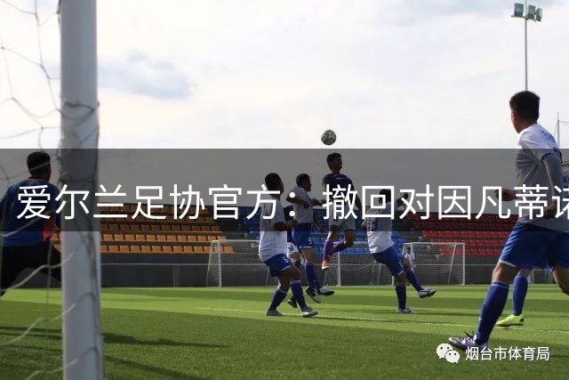 爱尔兰足协官方：撤回对因凡蒂诺的支持 对FIFA内部感到严重担忧