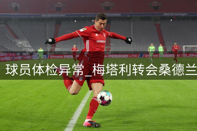球员体检异常 梅塔利转会桑德兰突遇波折