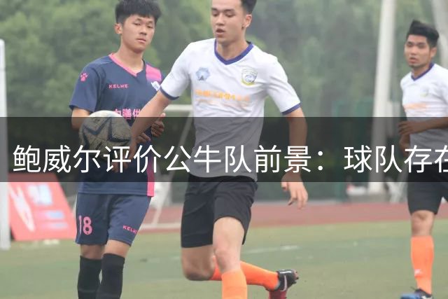 鲍威尔评价公牛队前景：球队存在两极可能